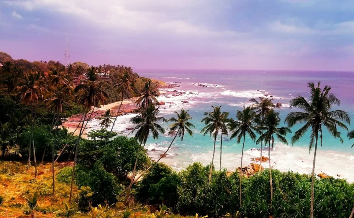 Дополнительные рейсы на Шри-Ланку из Минска!