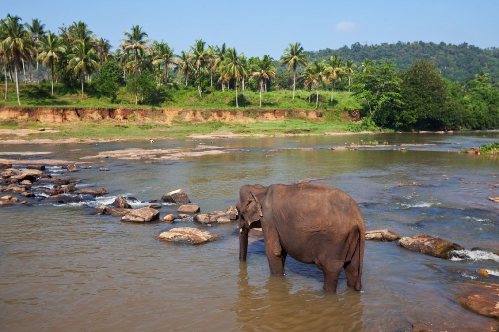 sri-lanka-6.jpg