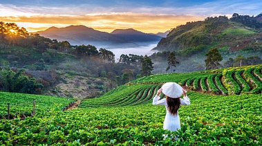 ЛЕТИМ ВО ВЬЕТНАМ ИЗ МИНСКА — ПРЯМО В ЛЕТО!