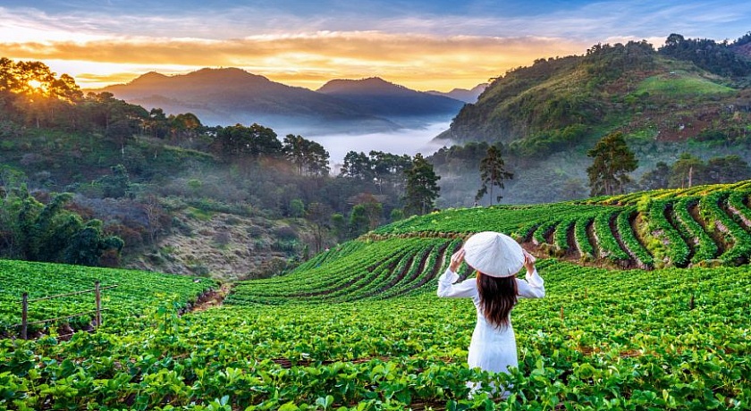 ЛЕТИМ ВО ВЬЕТНАМ ИЗ МИНСКА — ПРЯМО В ЛЕТО!